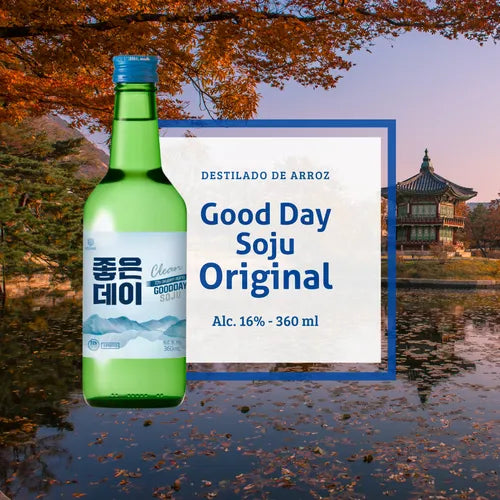 SOJU SABOR ORIGINAL X360